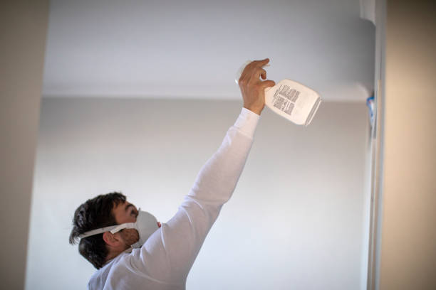 Best DIY Mold Remediation Support Services in Paradise, CA