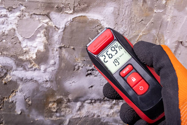 Best Mold Remediation for Specific Building Types in Paradise, CA